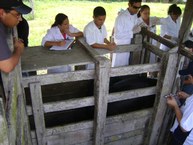 Aula de campo na Fazenda São Luiz