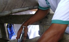 Aula de campo na Fazenda São Luiz