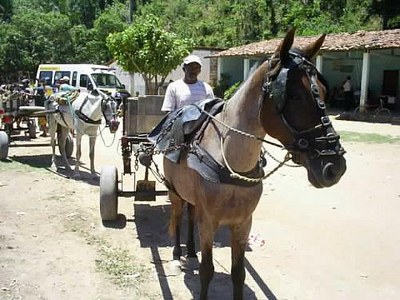 Carroceiros recebem orientações