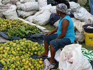 feira camponesa