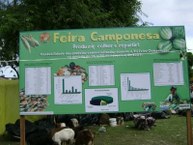 feira camponesa