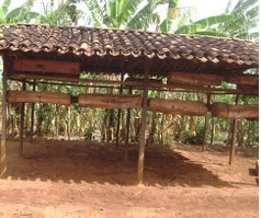 Pesquisadores do Mestrado em Nutrição se destacam em estudos sobre o mel