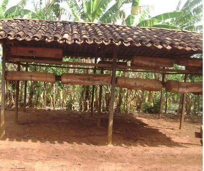 Criação de abelhas nativas (Uruçú) em Palmeira dos Índios