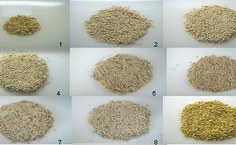 Amostras de pólen apícola coletadas quinzenalmente do apiário “Cavalo Russo”,  no município de Barra de São Miguel, durante a estação seca