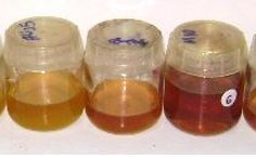 Variação da coloração de méis de abelhas nativas e africanizadas do Estado de Alagoas