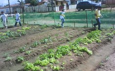 Projeto é desenvolvido no bairro de Mangabeiras, em Arapiraca