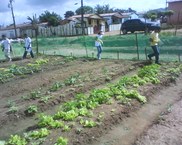 Projeto é desenvolvido no bairro de Mangabeiras, em Arapiraca