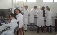 Bolsistas no laboratório em pleno funcionamento