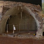 Museu de História Natural passa por reforma