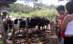 Alunos de Medicina Veterinária visitando propriedade