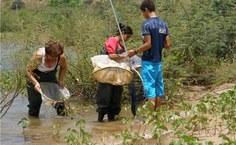 Análise da fauna do Velho Chico