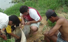 Pesquisadores contam com o apoio dos ribeirinhos