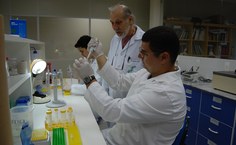 12 pessoas integram o laboratório, entre docentes, estudantes de graduação e pós