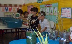 1° período falou sobre plantas medicinais