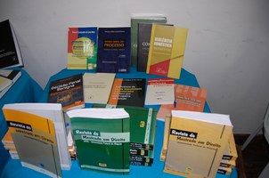 Direito Penal em debate na Bienal