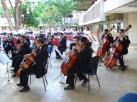 Músicos da orquestra