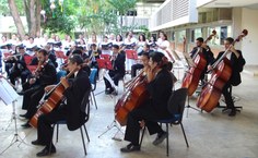 Músicos da orquestra