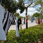 Ufal em Defesa da Vida completa um ano de combate à violência