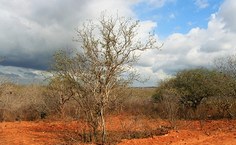 Especialistas, alunos e professores são convidados para o evento