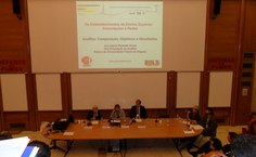 Ana Dayse apresenta estrutura da Andifes para instituições francesas