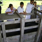 Polo Viçosa realiza pesquisa na Bacia Leiteira de Alagoas