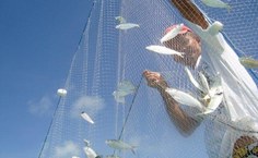A pesca é outra atividade econômica da região