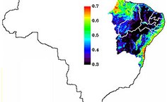 Áreas de desertificação aumentaram em 2010