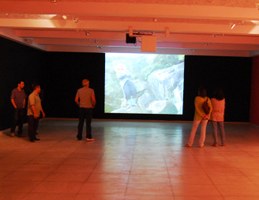 Pinacoteca Universitária dá o tom da Arte Contemporânea em Alagoas