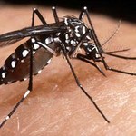 Ufal inicia Campanha de Prevenção à Dengue no Campus Maceió
