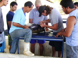 Estudantes de Engenharia de Pesca participam de aula prática no Ceraqua