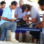 Estudantes de Engenharia de Pesca participam de aula prática no Ceraqua