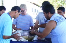 Estudantes de Engenehria de Pesca participam de reprodução artificial