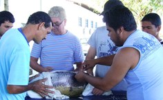 Estudantes de Engenehria de Pesca participam de reprodução artificial