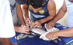 Professor André Gentelini acompanha estudantes durante aplicação de hormônios para indução da reprodução