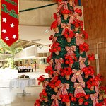 Fique por dentro: comemorações natalinas e fim de semestre