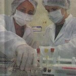 Nova técnica de coleta faz país se voltar para Alagoas
