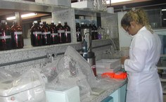 Conhecimento científico deve estar a serviço da cidadania