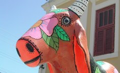 Através de enquete foi escolhido o nome do boi: Boi das Alagoas