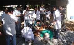 12 alunos participaram do curso com aulas teóricas e práticas