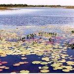 Penedo comemora Semana Mundial da Água