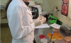 Alunos de Iniciação Científica integram o Grupo de Pesquisa em Tecnologia e Controle de Qualidade de Medicamentos