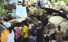 Estudo do Meio na Mata Atlântica em Murici/AL, em 2010