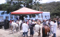 Mais de 70 animais foram atendidos em Quebrangulo