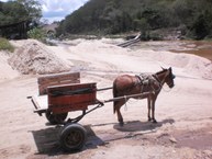 O muar e sua carroça à beira do Rio Paraíba para retirada de areia