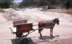 O muar e sua carroça à beira do Rio Paraíba para retirada de areia