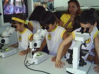 Microscópios manuseados por alunos visitantes