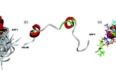 Fragmentos da proteína causadora do mal de Alzheimer