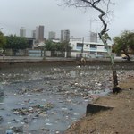 Cursos de Engenharias e Arquitetura pesquisam soluções para inundações