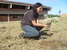 Estudantes plantam árvores medicinais para futuras pesquisas