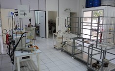 Os estudos já apontam o carvão vegetal como uma alternativa à diminuição da emissão de carbono na atmosfera